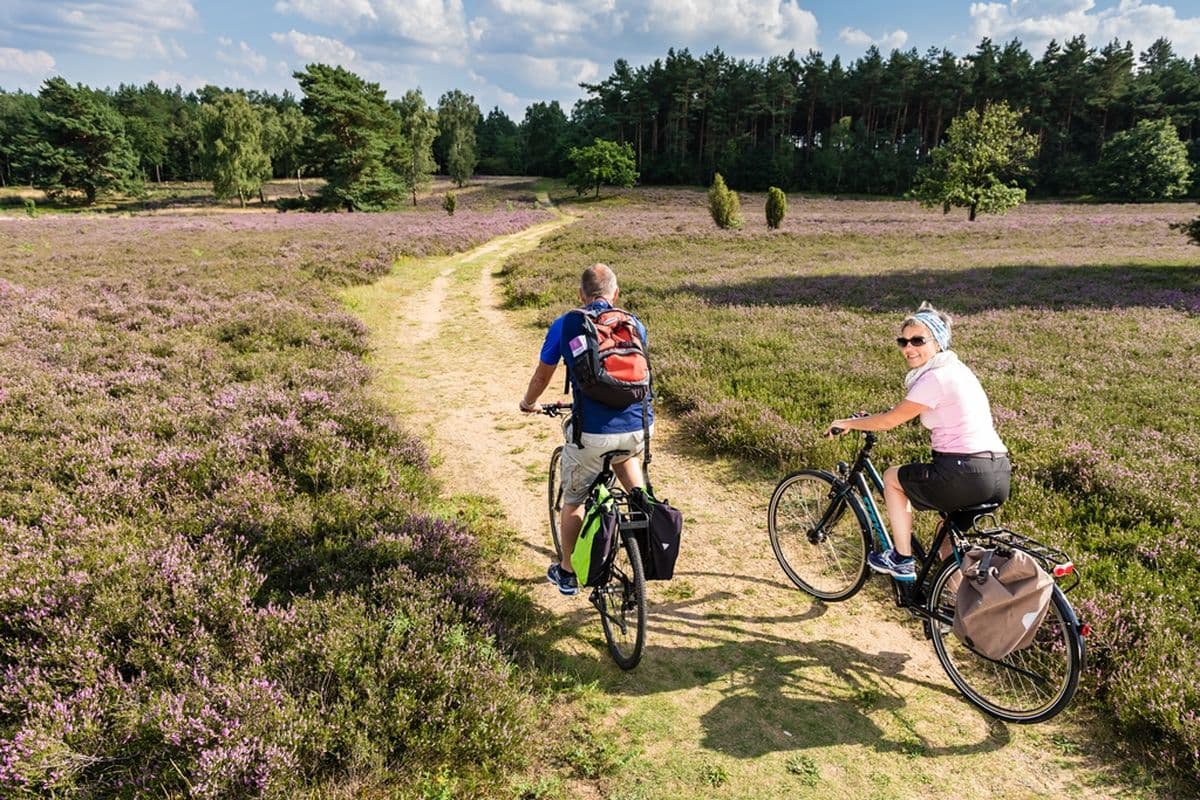 mit dem Rad zum Wilseder Berg ab Schneverdingen