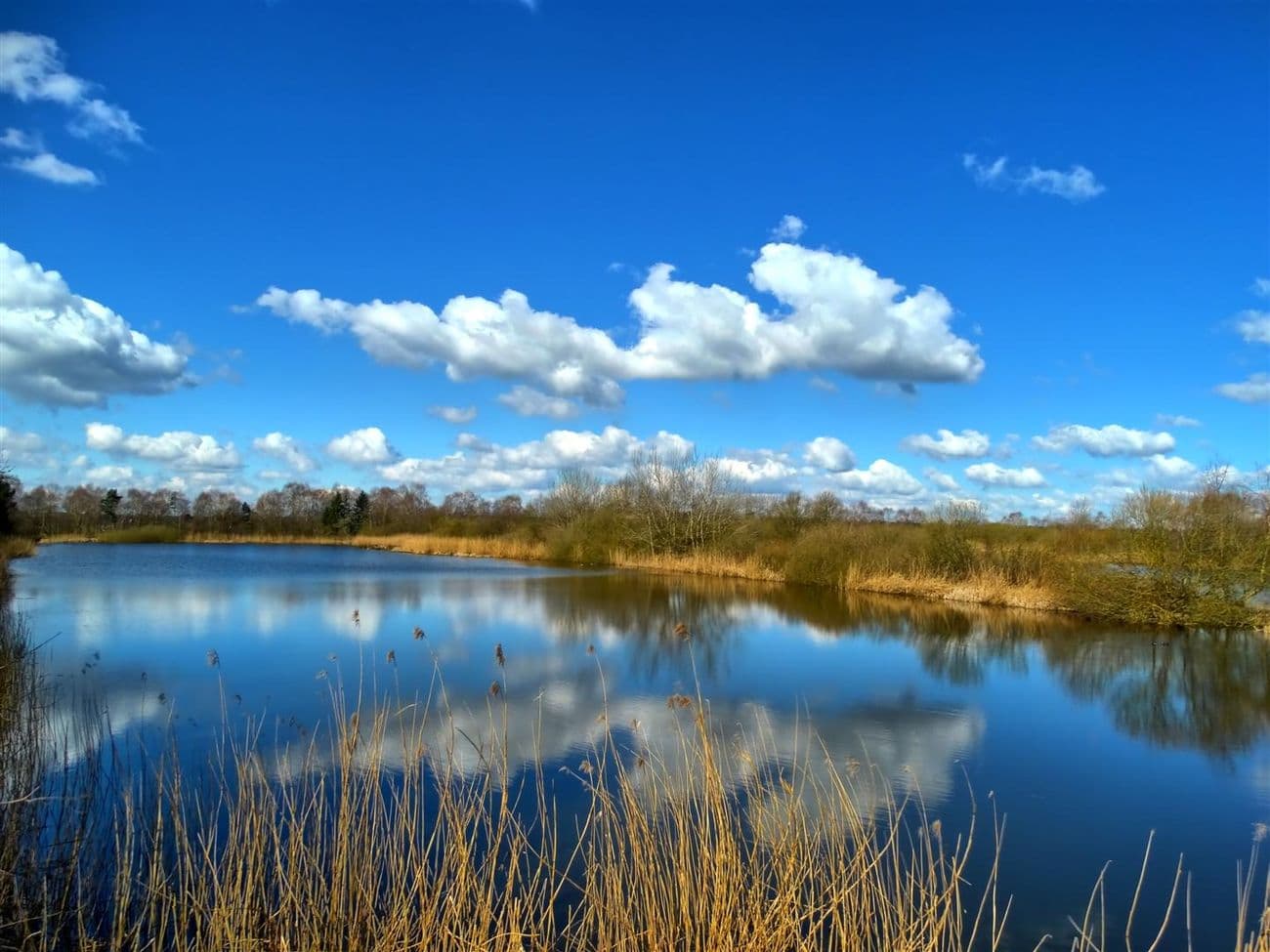 Wietzendorfs Polderteiche sind sehenswert