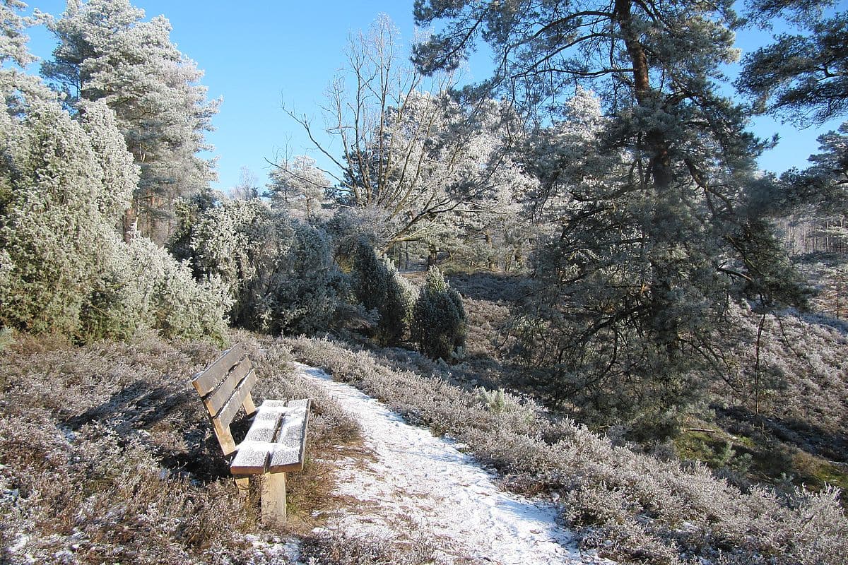 Bsipingen, Borsteler Kuhlen