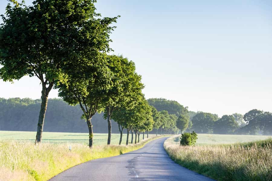 Radtour in der Rad Reise Region Uelzen durch das weite Land