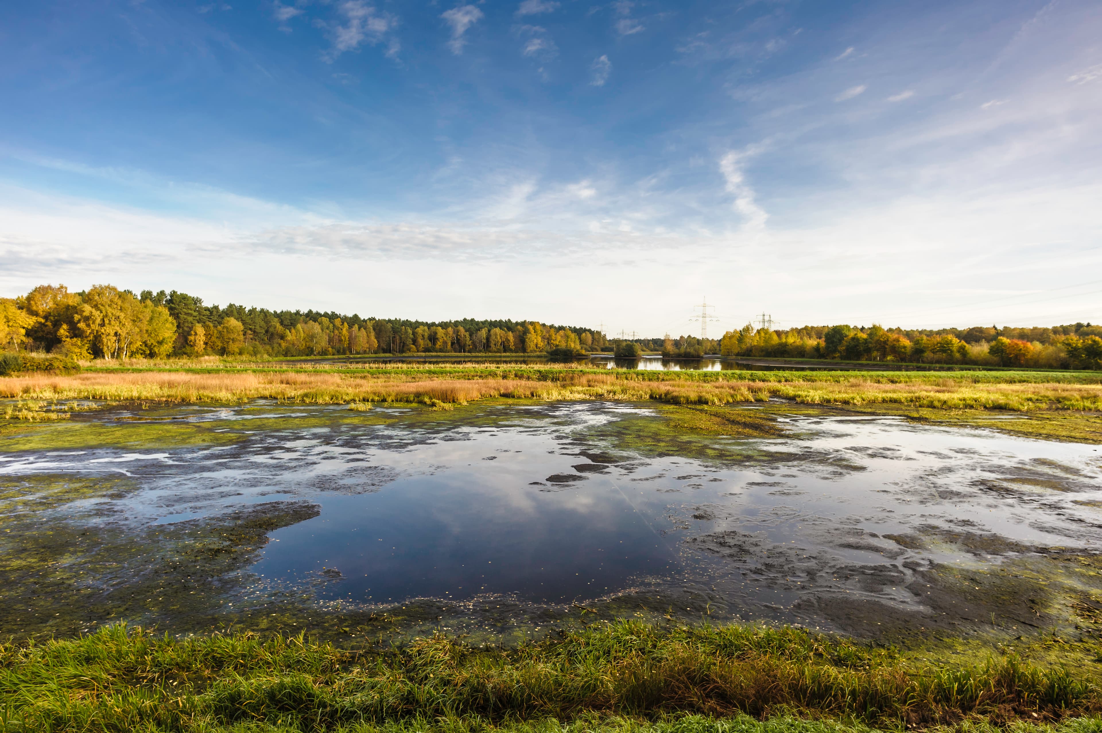 Weiter blick über die Aschauteiche