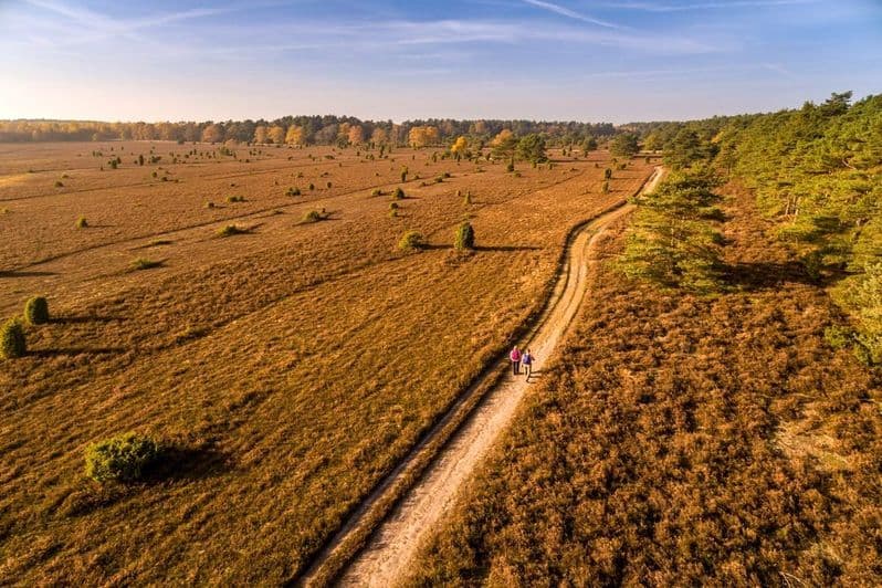 Herbstliche Wanderung durch das tiefental und misselhorner heide, goldene blätter