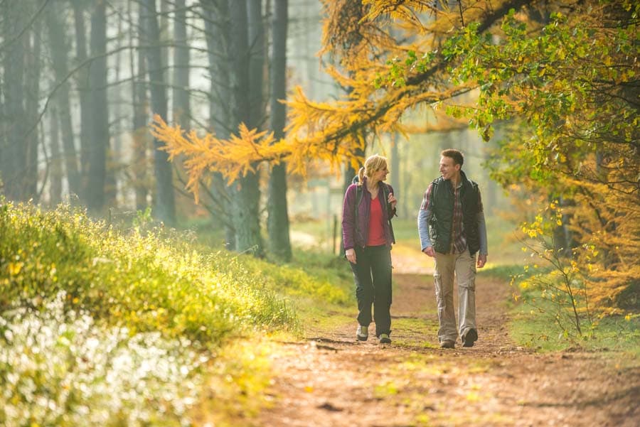 Wadnerer, Bäume, Wanderweg