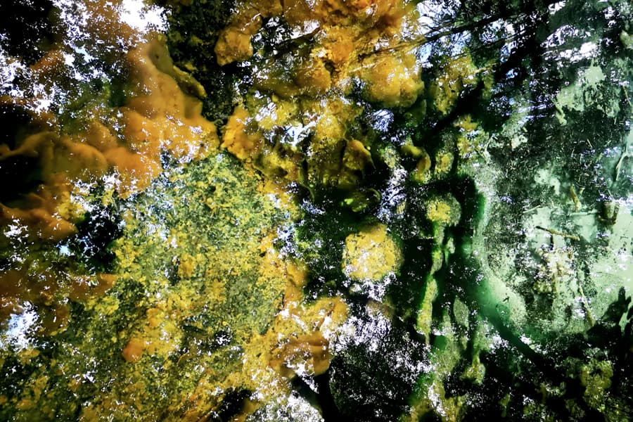 Quelle, Wasser Farben mineralien