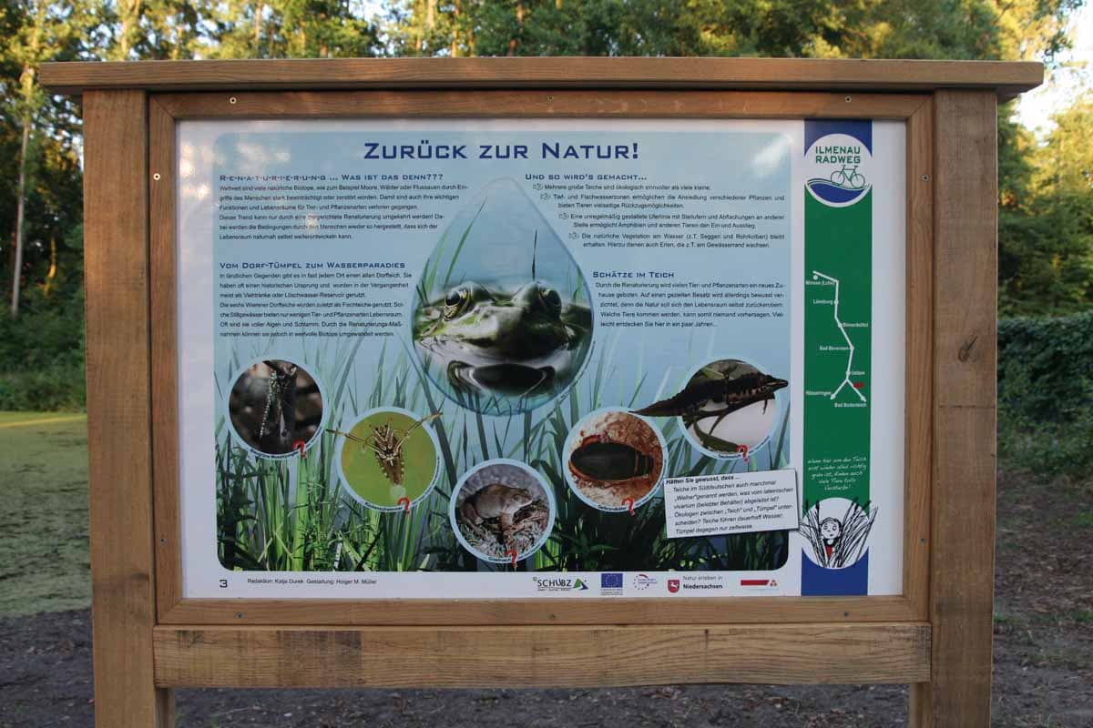 Naturinformationstafel in Wieren: Renaturierung von Dorfteichen