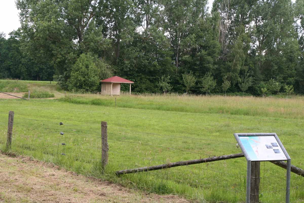 Schutzhütte und Rastplatz an der Rieselwiese südlich von Suderburg