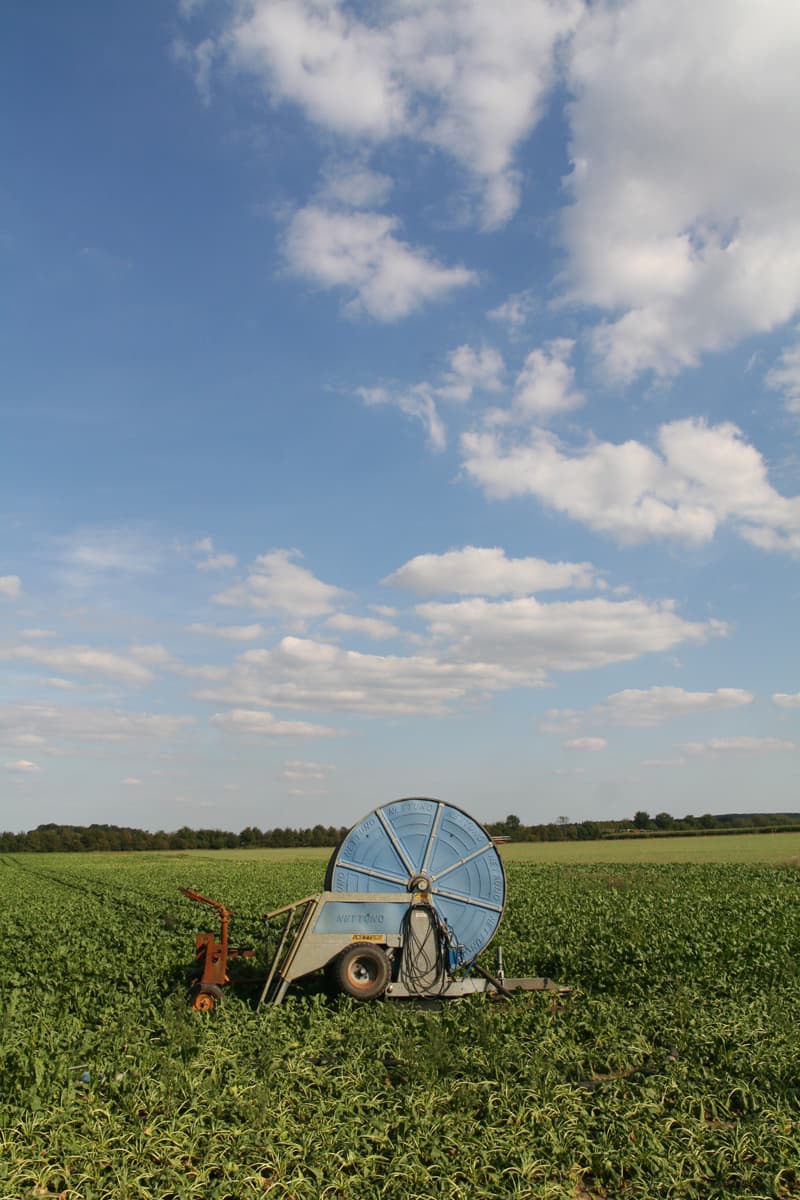 Landwirtschaftliche Beregnung bei Suderburg