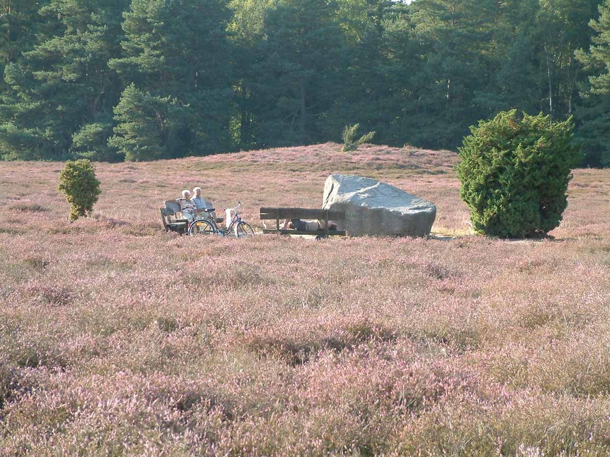 Der Lönsstein in der Klein Bünstorfer Heide