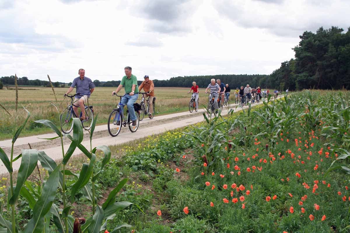 Radgruppe auf dem Ilmenauradweg bei Bienenbüttel