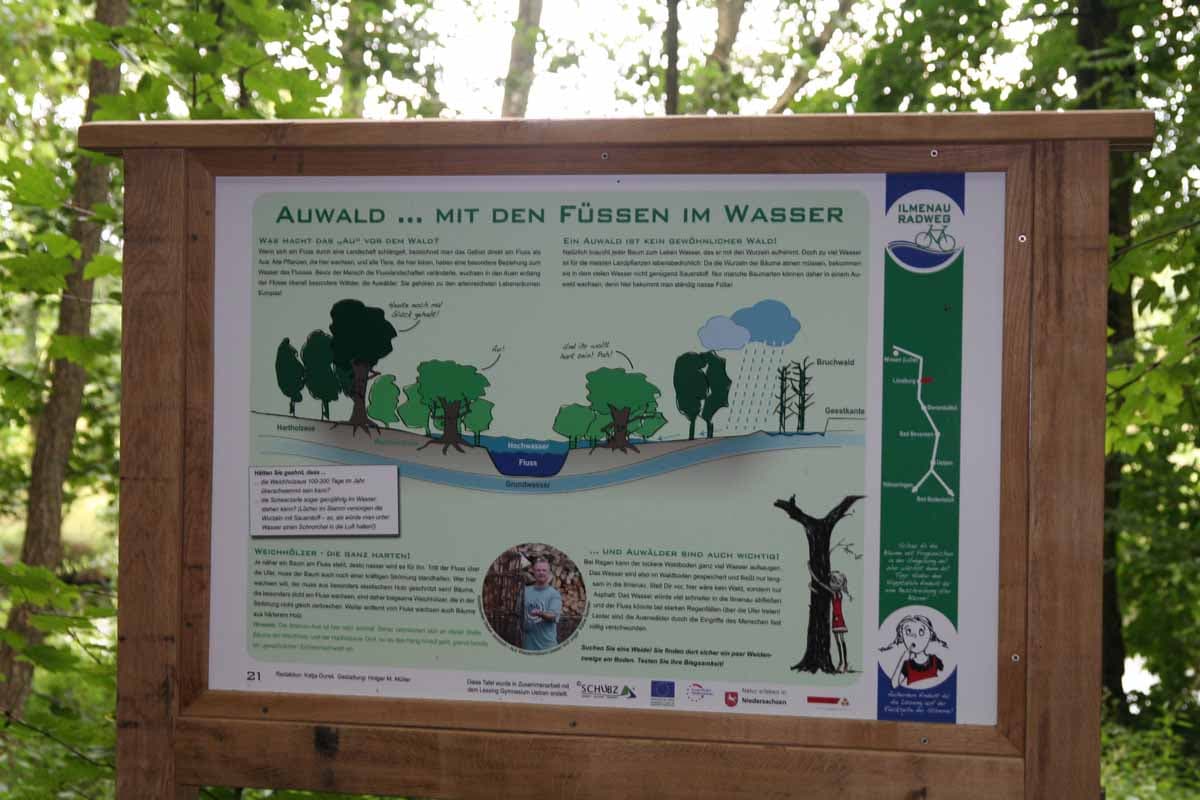 Naturinformationstafel in Lüneburg bei der Försterei zum Thema Auwald