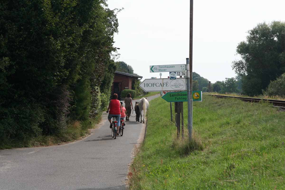 Der Ilmenauradweg bei Mover