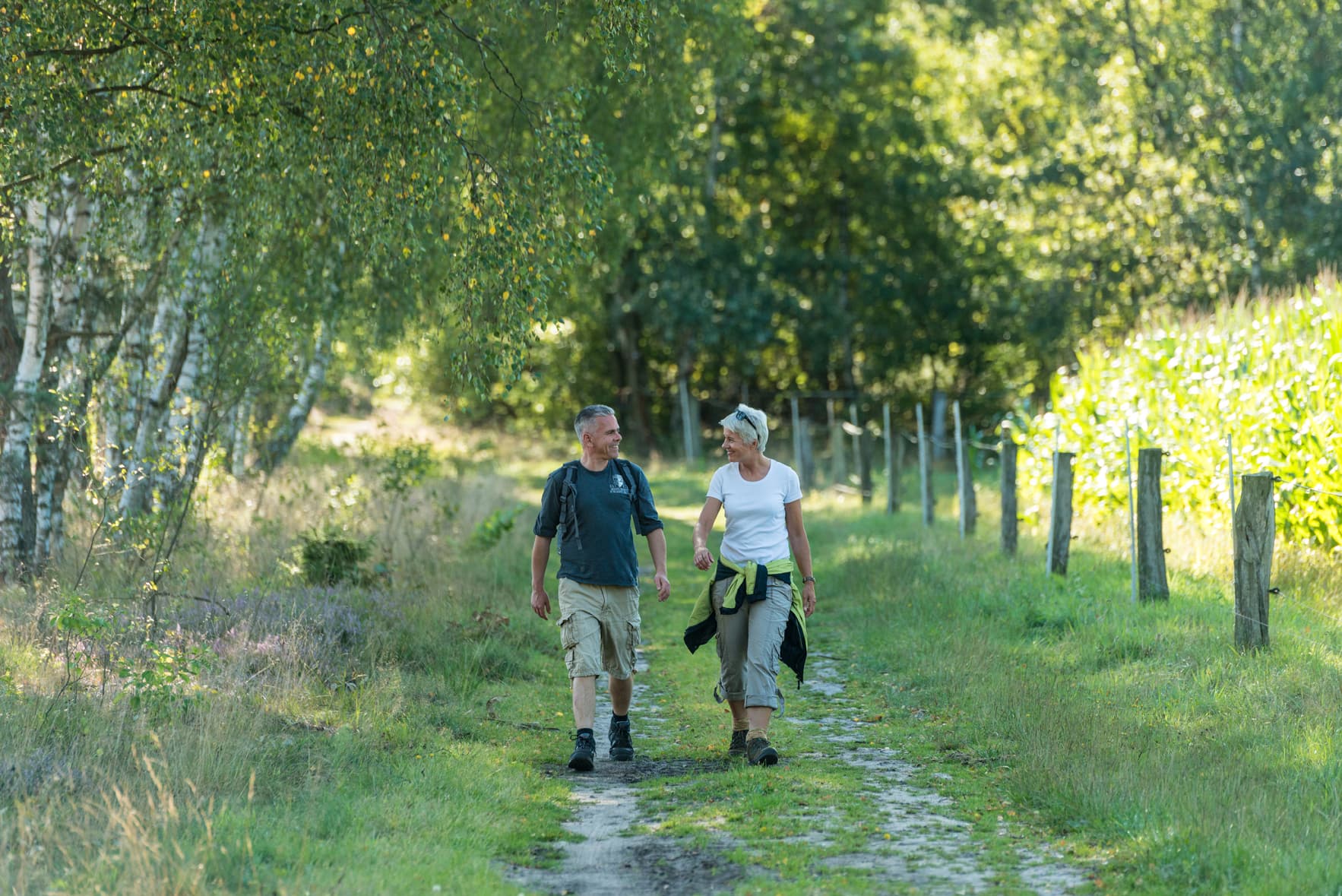 Freudenthalweg Lüneburger Heide Wanderweg