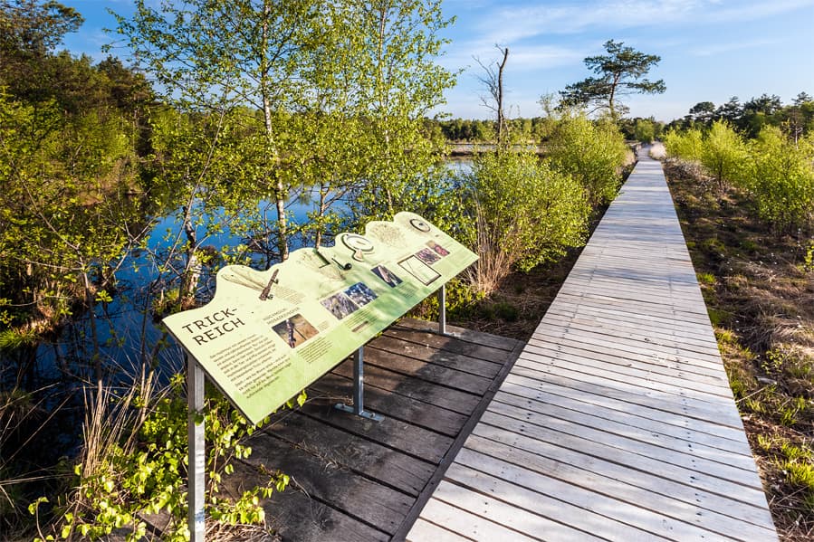 Pietzmoor bei Schneverdingen