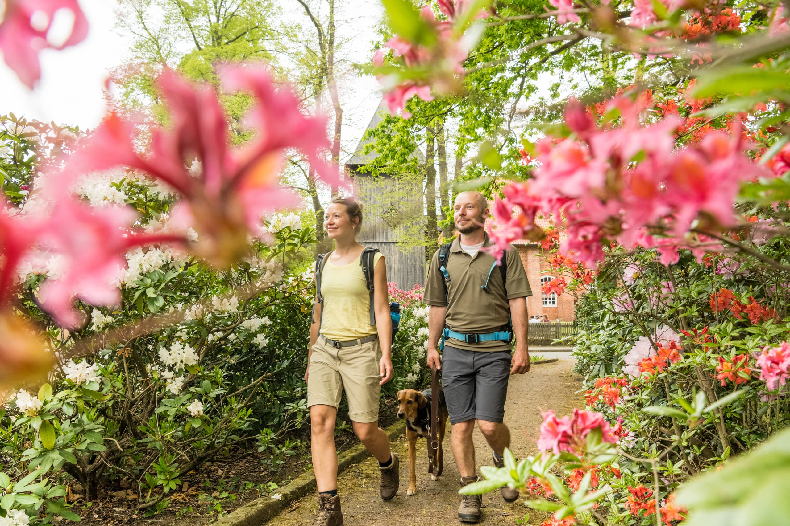 In Müden (Örtze) am Heidschnuckenweg Wandern Spazieren