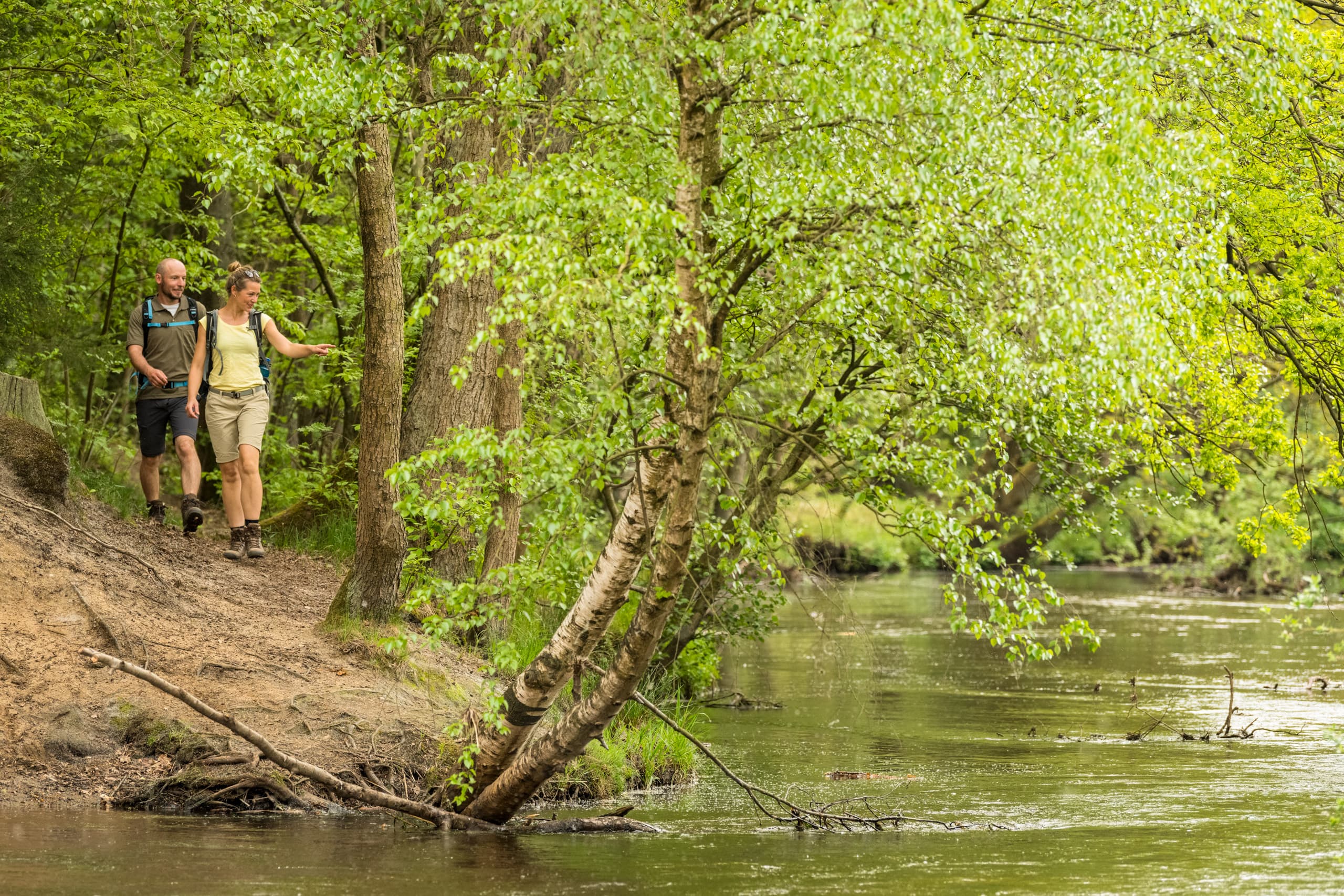 Wandern an der Örtze auf dem Heidschnuckenweg