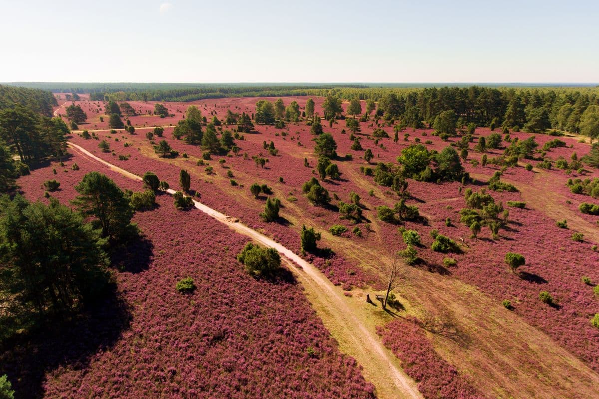 Luftaufnahme des Tiefentals, Misselhorner Heide, Hermannsburg