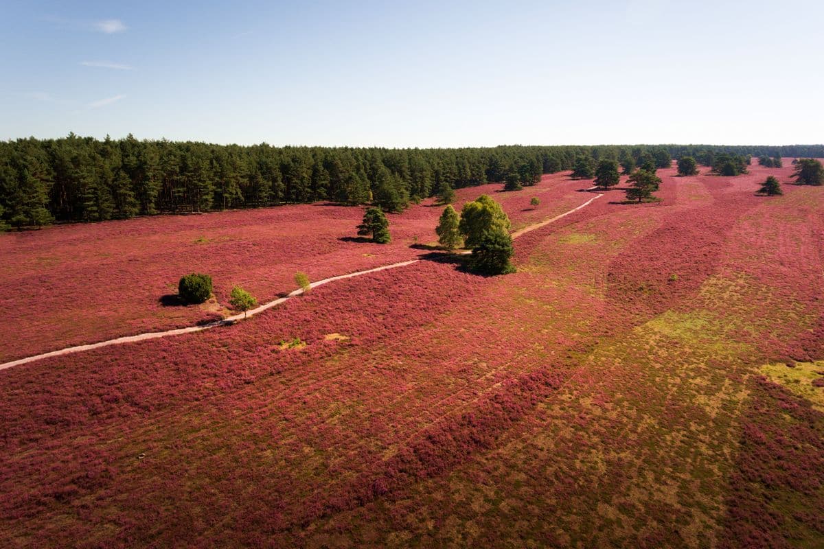 Luftaufnahme des Tiefentals, Misselhorner Heide, Hermannsburg