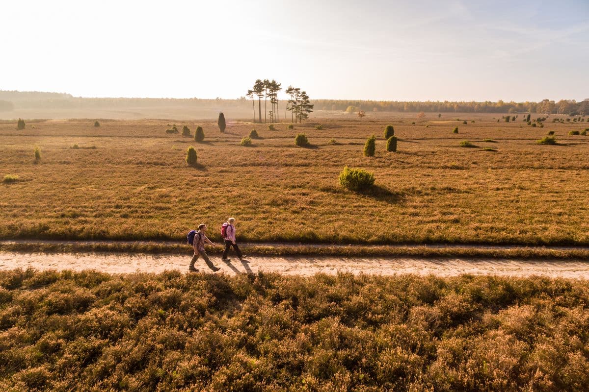 Wandern in der Misselhorner Heide