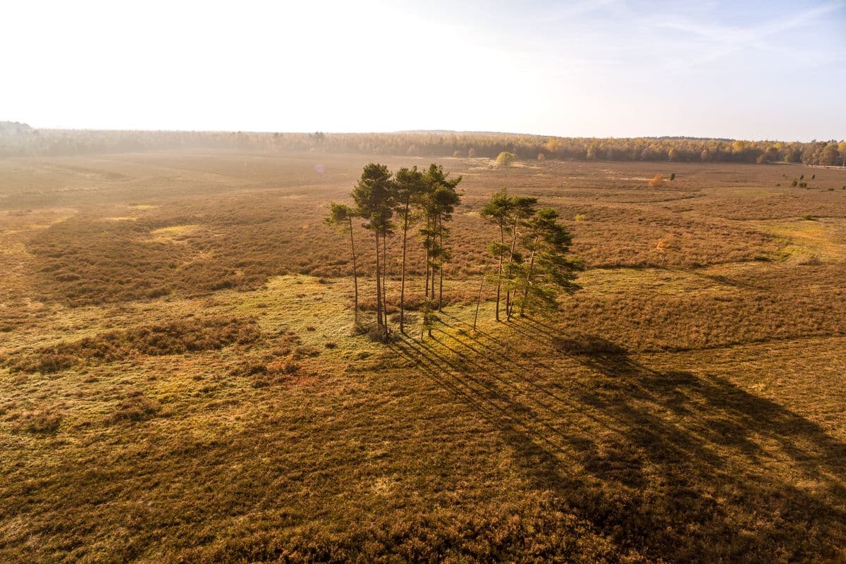 Wandern in der Misselhorner Heide