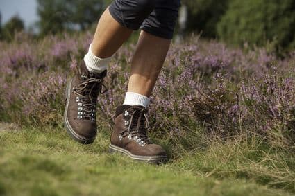 Wanderung durch die Lüneburger Heide