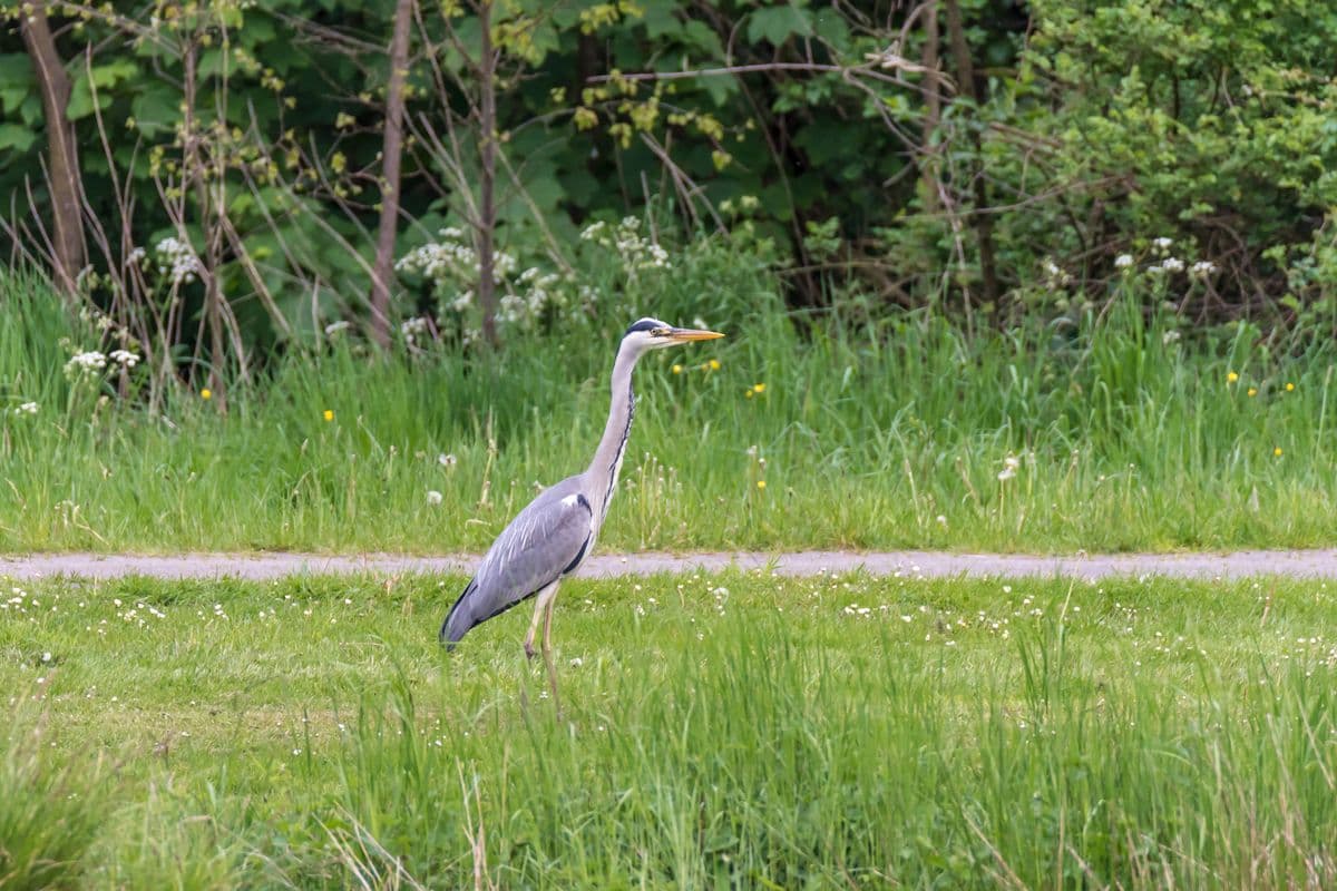 Fluss-Wald-Erlebnispfad