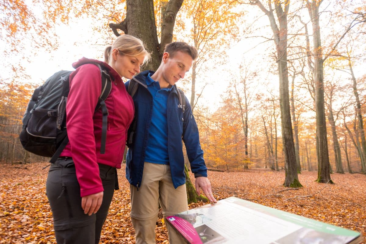 Wandern im Lüßwald