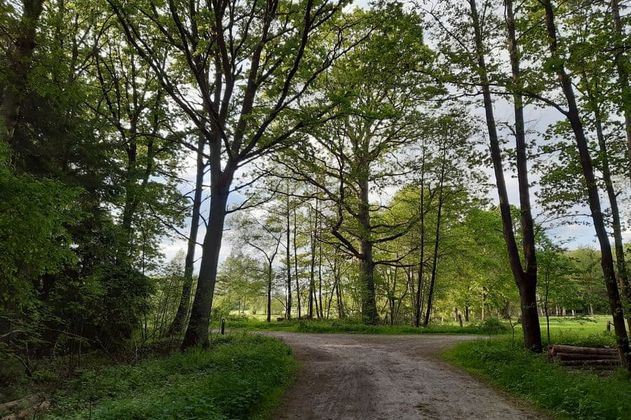 ab hier gehen beide Touren gemeinsam weiter