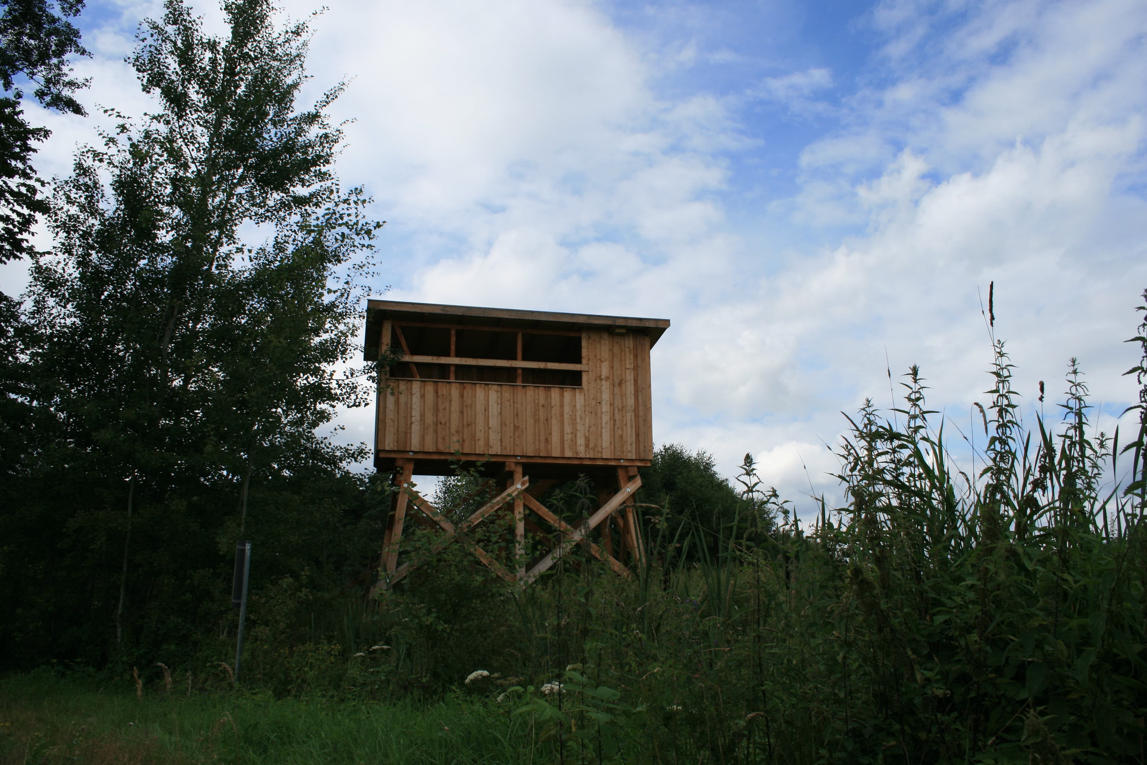bargfeld, naturpark suedheide, kuehe in halbtrauer, naturpark suedheide, arno schmidt