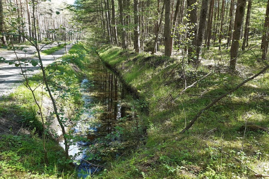 Der Graben begleitet den Weg