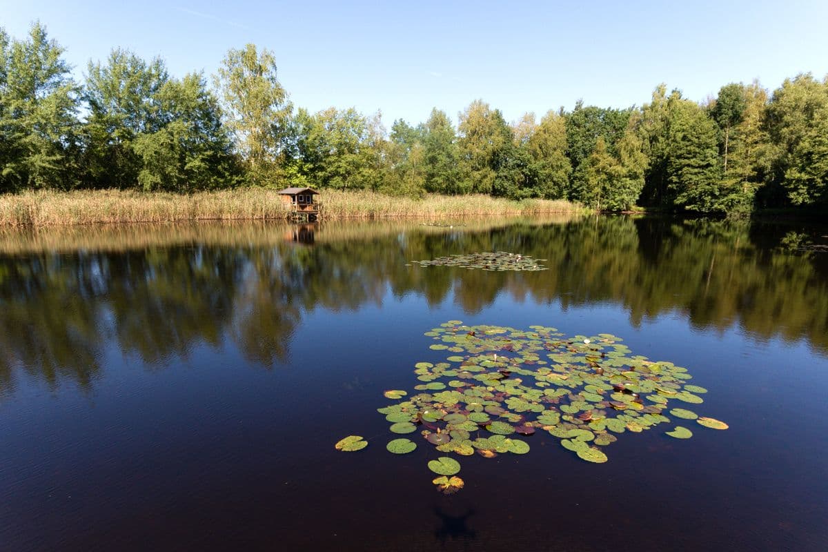 Idyllischer See am Wanderweg
