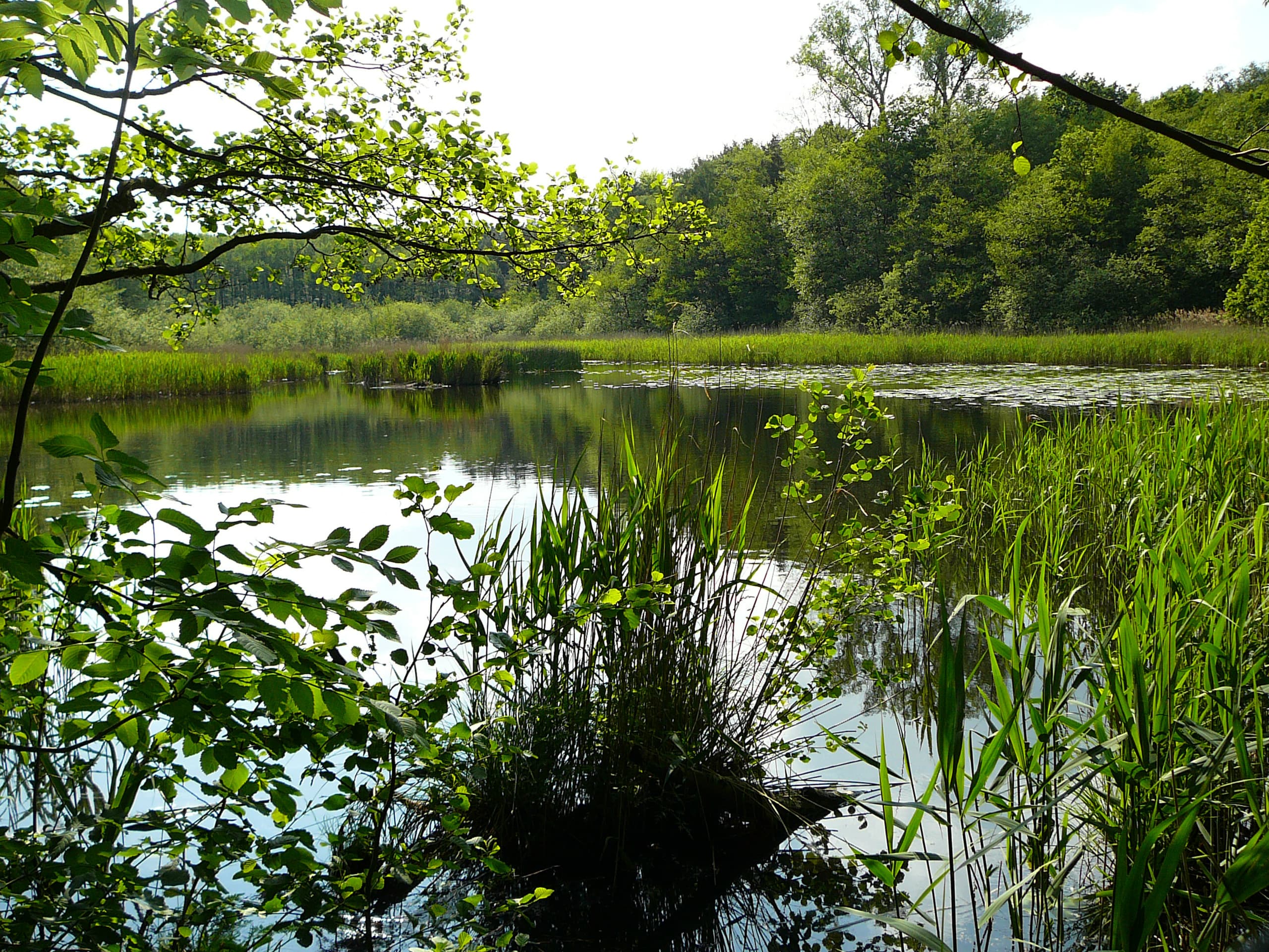 Holdenstedter Teiche