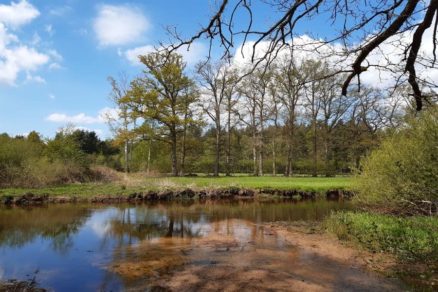 Ein herrlicher Platz