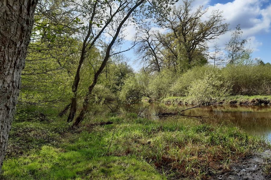 Die Örtze mäandert sehr stark.