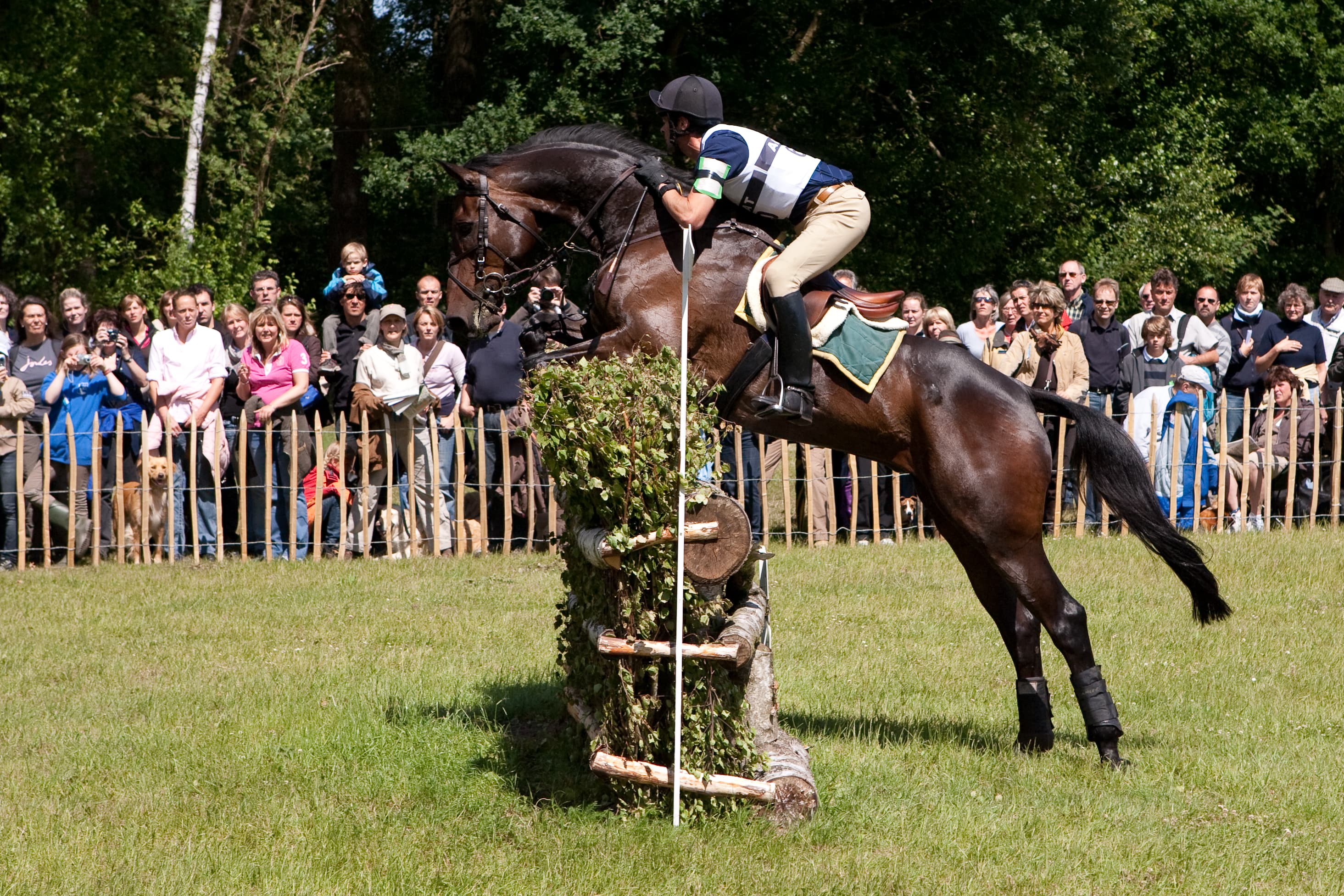 Salzhausen Luhmühlen ist ein Mekka für die Vielseitigkeitsreiter