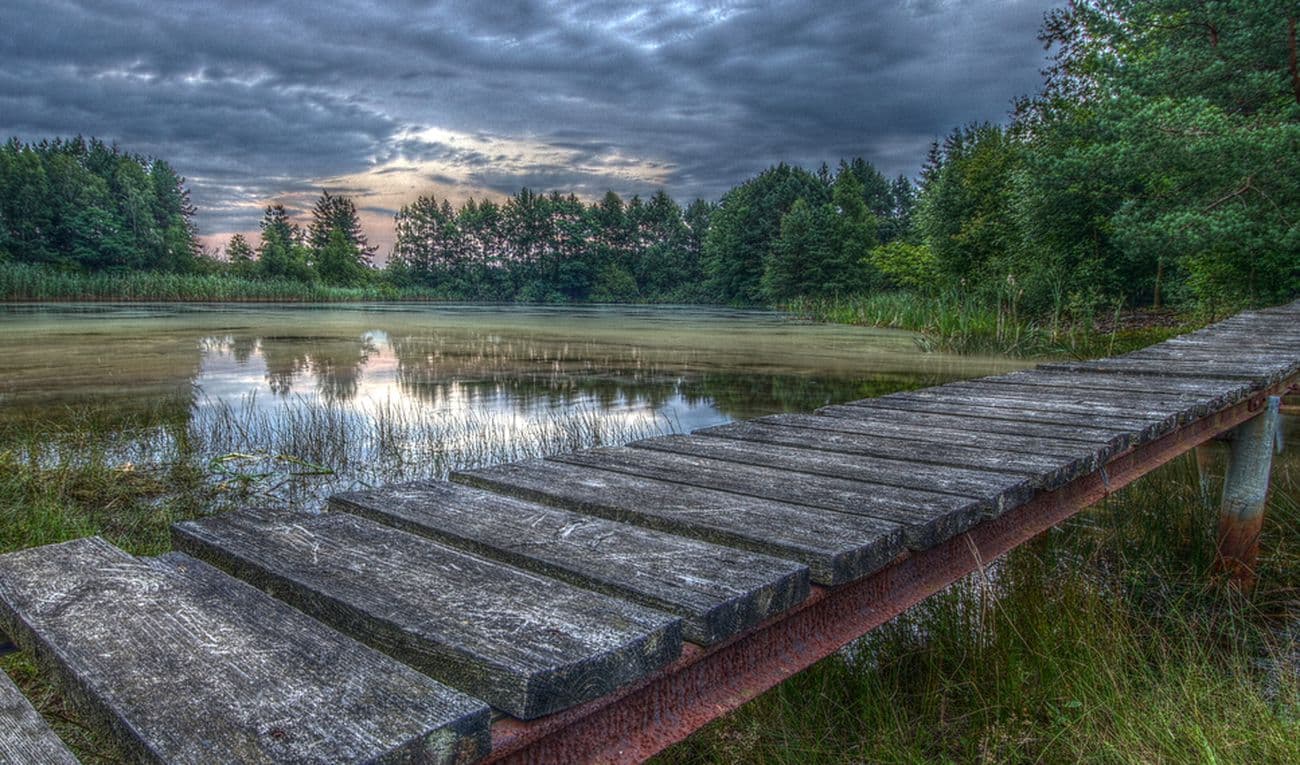 Naherholung am Brammer Teich in Wietzendorf