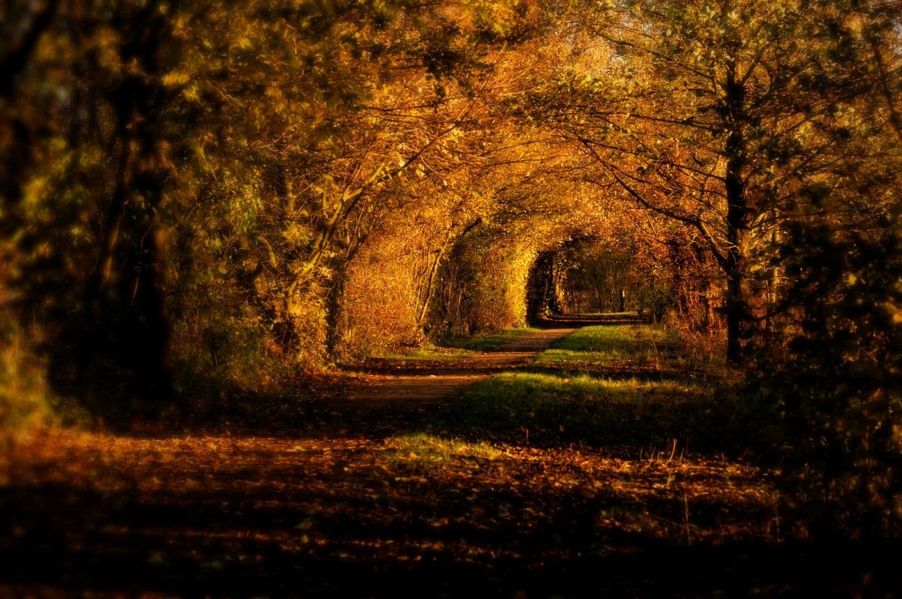 Wandern an der Wietze in Wietzendorf