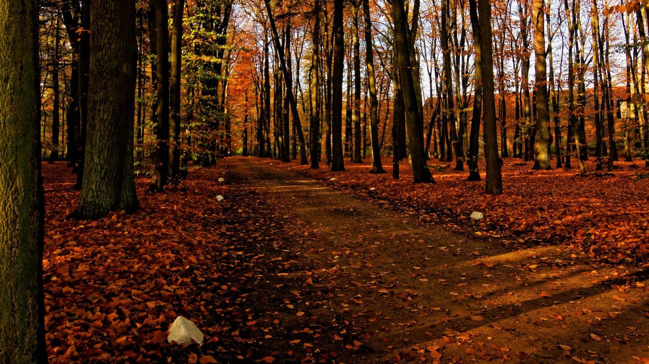 der meyerhof in wietzendorf