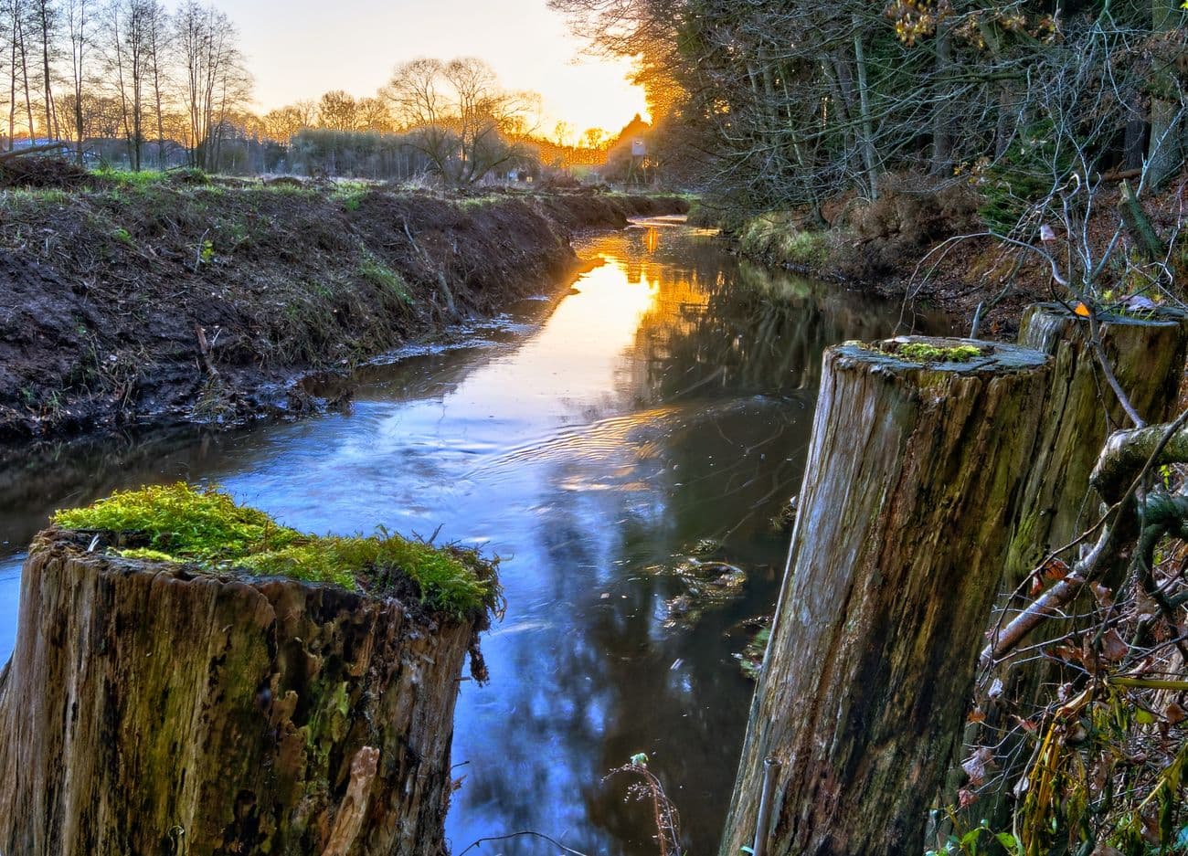 wunderbare landschaft am antonstieg in wietzendorf