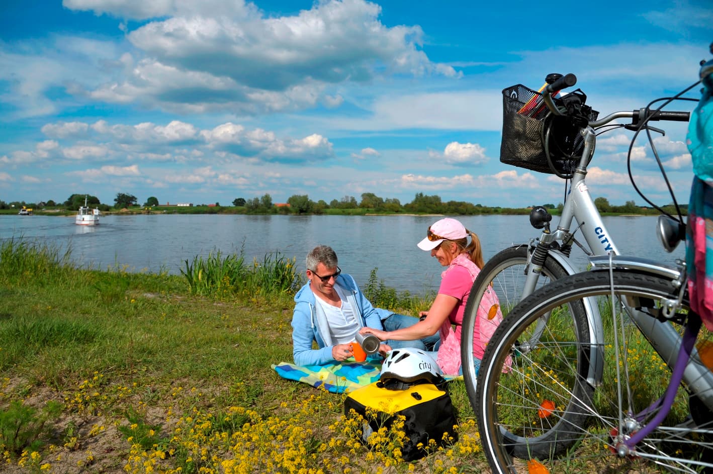 Elberadweg bei Winsen