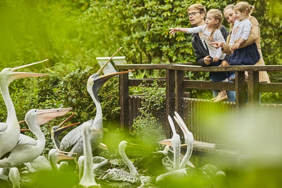 kinder im vogelpark walsrode