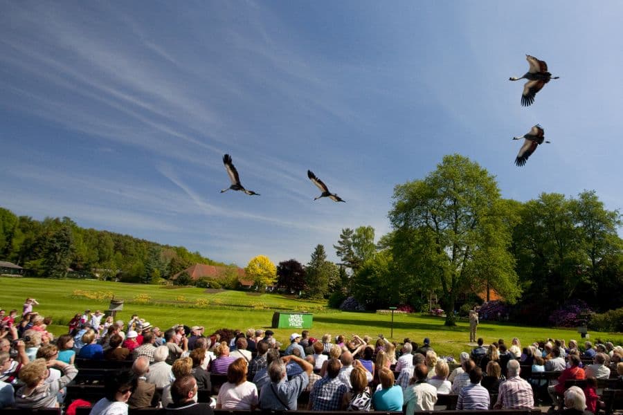 flugshow im vogelpark walsrode