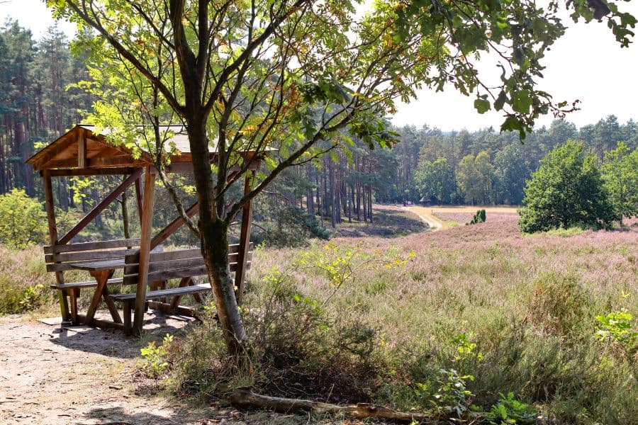 Kronsbergheide in Amelinghausen