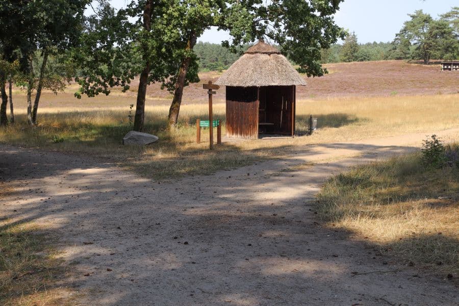 Kronsbergheide in Amelinghausen