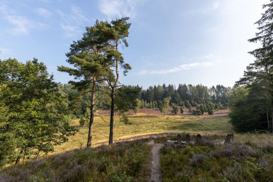 Marxener Paradies in Oldendorf (Luhe)