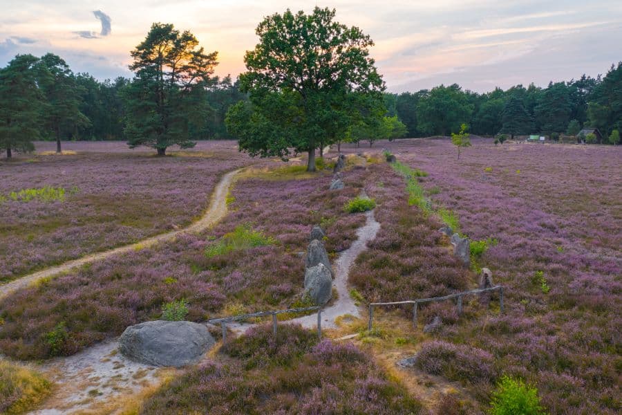 Oldendorfer Totenstatt in Oldendorf (Luhe)