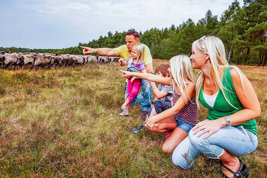 Wanderung mit Kindern in der Lüneburger Heide