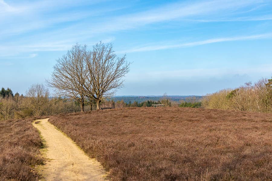 Die kleine Heidefläche besticht die einen grandiosen Ausblick über Wälder.