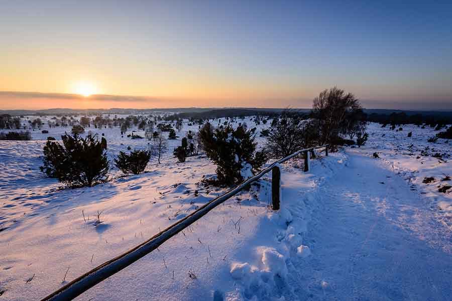 Wilseder Berg im Winter im Naturschutzgebiet Lüneburger Heide