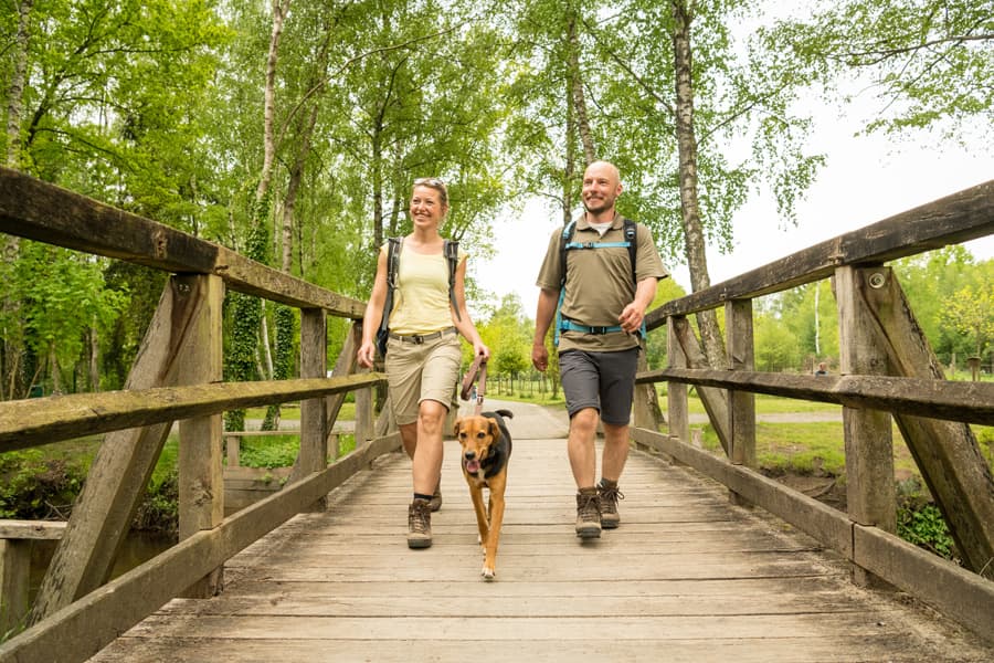 Ferien mit Hunden in der Lüneburger Heide