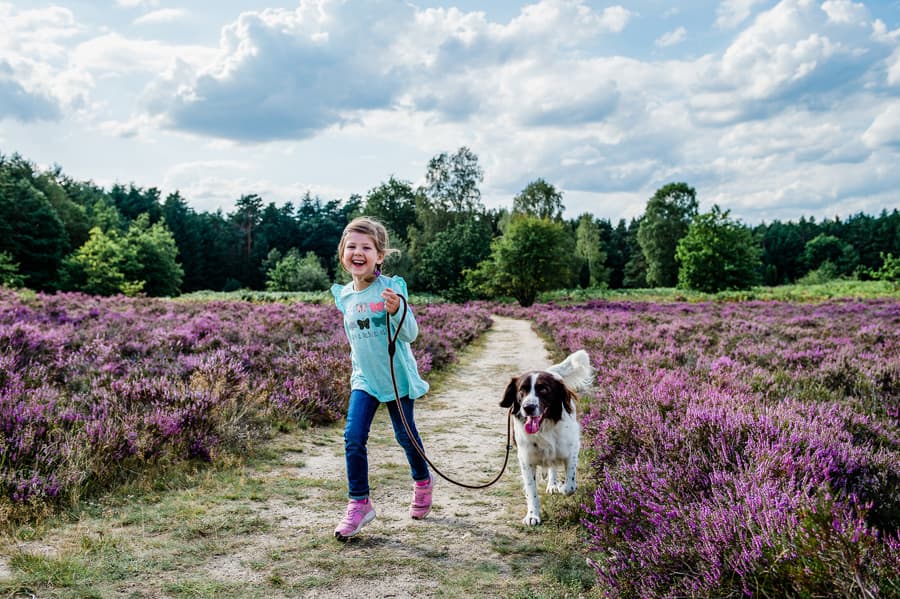 Lüneburger Heide mit Hund und Kindern